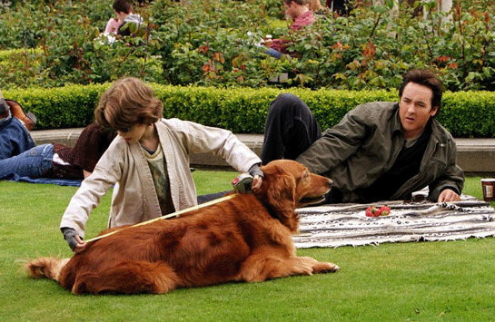 Fall Movie Preview: Family Matters