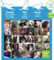 Website of the Day: DoggySnaps