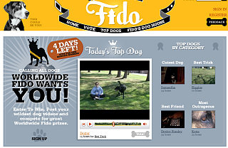 Website of the Day: Worldwide Fido