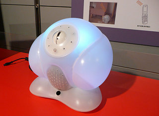 House Sitting Robot: No Bark, No Bite