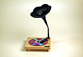 Love It or Leave It? CD Record Player