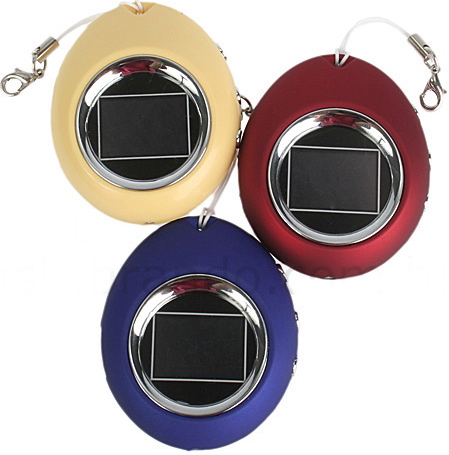 The Oval Digital Photo Keychain