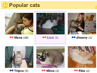Website of the Day: United Cats 