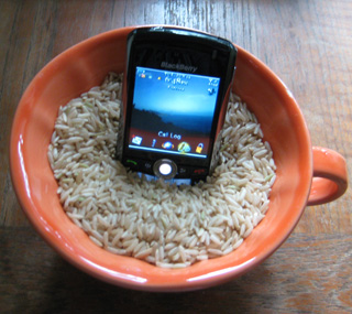Man Drops BlackBerry In Toilet, Saves It With Rice