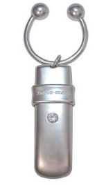 Love It or Leave It? Venice Flash Drive