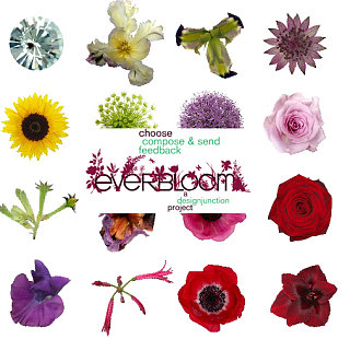 Website of the Day: EverBloom
