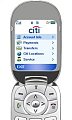 More Banks Offering Mobile Services