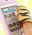 Tiger Paw Cleaning Pad For Cell Phones