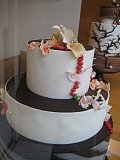 IMG_1167.JPG