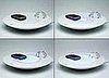 Bird Bath Cell Phone Charger