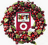Comment to Win a (PRODUCT) Red iPod Nano