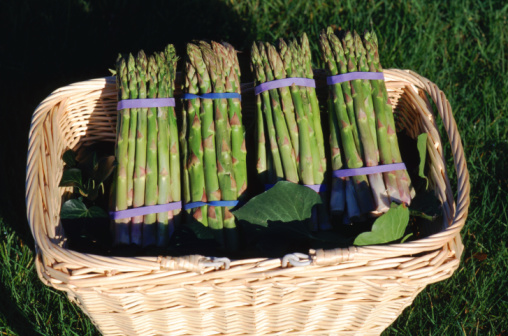 What's In Season: Asparagus