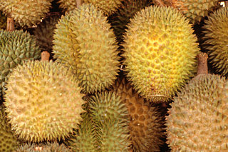 Should Durian Be Destinked?