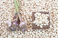 Happy Hour: Funky Garlic