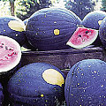 Grow Stars and Moon In Your Garden