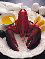 Get Cracking! It's National Lobster Day!
