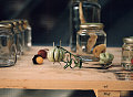 Fancy Food Jewelry U-Z (Part 5 of 5)