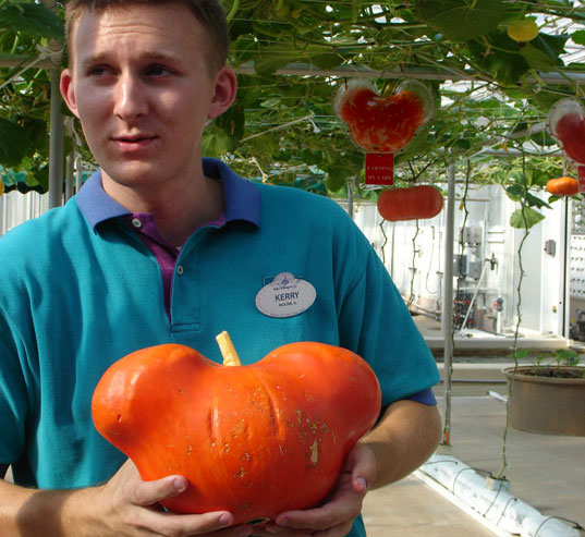 EPCOT's Pumpkins Earn Their Ears 