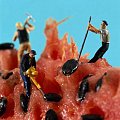 Yummy Link: Cute Mini People Food Art