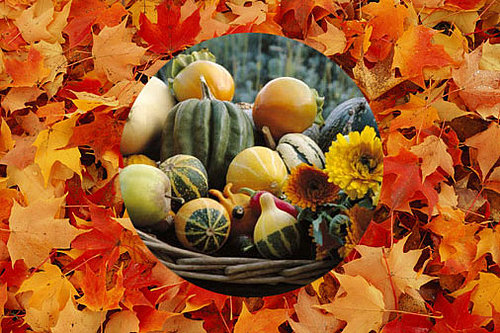 Sunday Dinner: Stuffed Squash