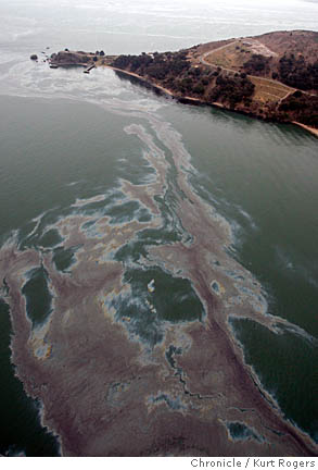 Yucky Link: Sad Times for Bay Area Fishermen