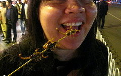 Would You Eat a Scorpion?