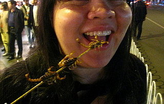 Would You Eat a Scorpion?