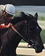 ruffian ruffian