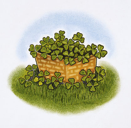 Come Party With Me: St. Patrick's Day - Menu (Appetizers)