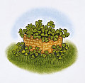 Come Party With Me: St. Patrick's Day - Menu (Appetizers)