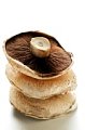 Today's Special: Open-Faced Portobello Sandwiches