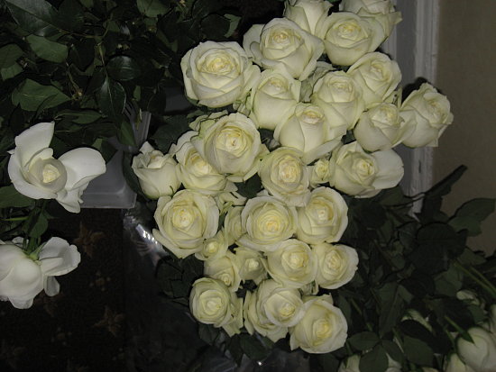 IMG_1638.JPG