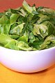 Simple Side Salad with Herbs & Champagne Vinaigrette