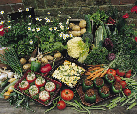 Should Vegetarian Restaurants Only Be Reviewed By Vegetarians?