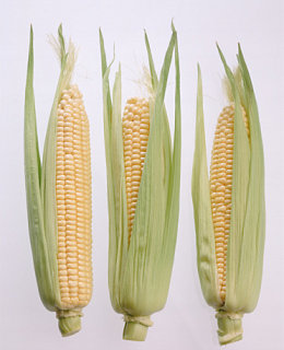 What's In Season: Corn