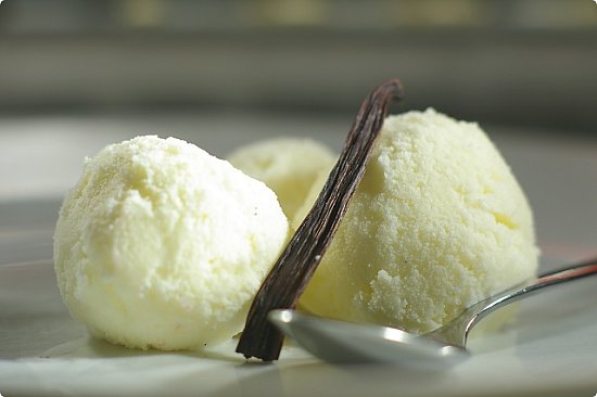 I Scream, You Scream We All Scream For Ice Cream!