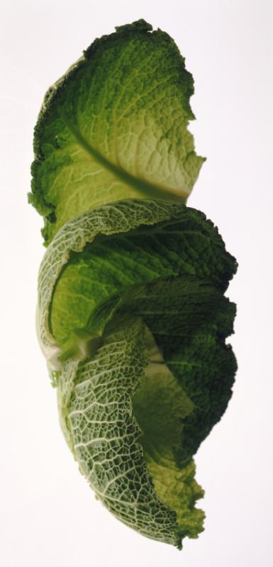 Know Your Greens