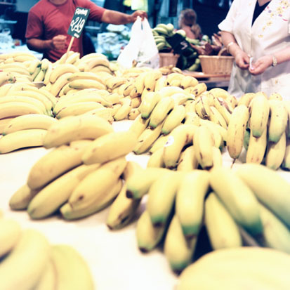 Let's Go Bananas!!!