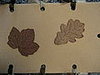 Come Party With Me: Fall Dinner - Invites
