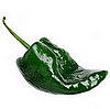 Poblano