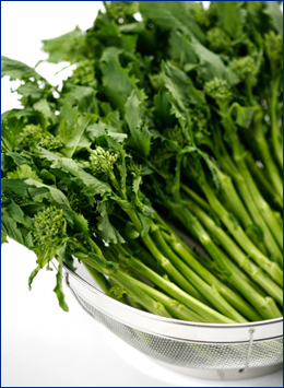 Rapini