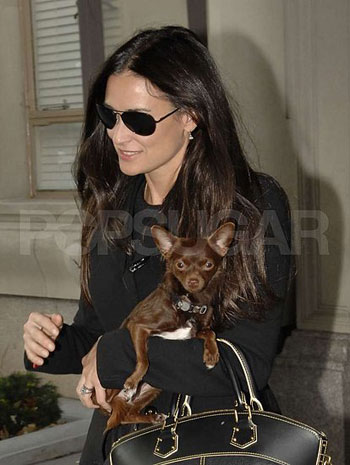 Quiz: How Well Do You Know Your Celebrity Pets?