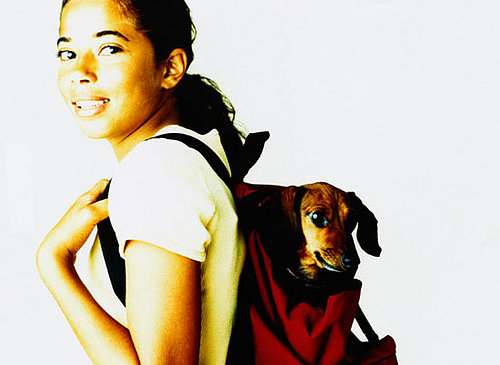 Pets on Public Transportation?