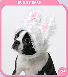 Bunny Ears for Dogs