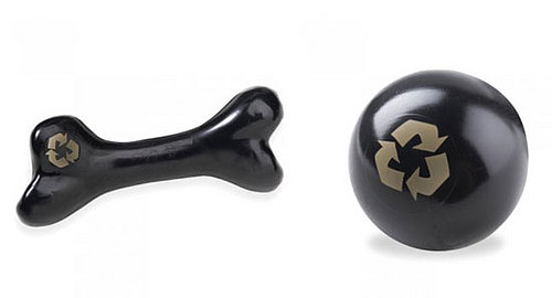 Eco-tastic Essentials: RecycleBALL and RecycleBONE
