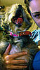 Pet of the Week: Tulip