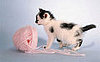 On the Ball Challenge: D.I.Y. Cat Toys