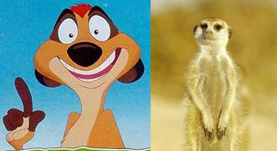 In the Wild: Guess What Animal? In the Wild: Guess What Animal?