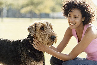 Out and About: Rhode Island's Warwick Dog Park