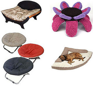 PetMarking Mission Completed: Snuggly Pet Beds